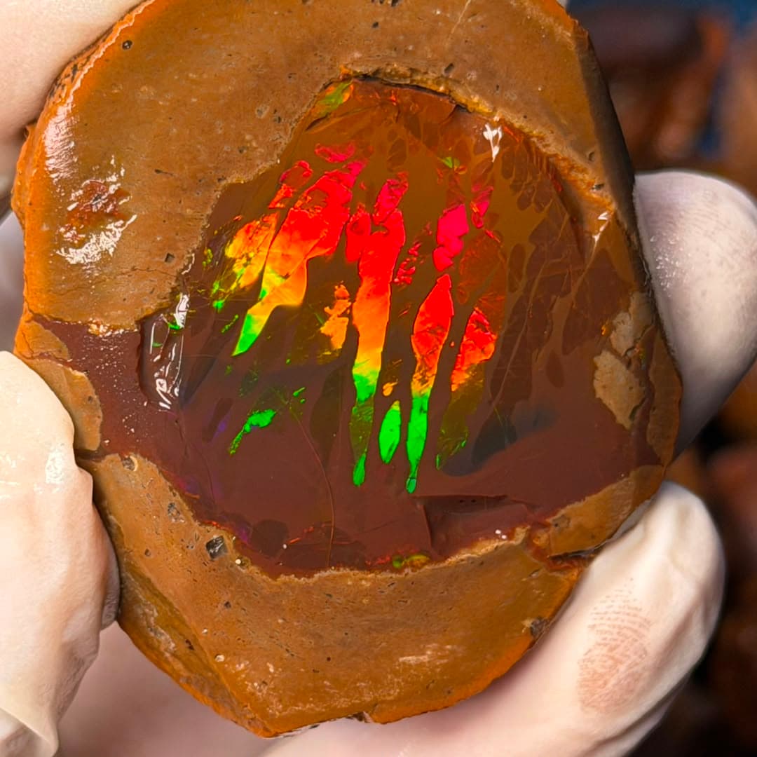 Ethiopian Wollo Black Opal9