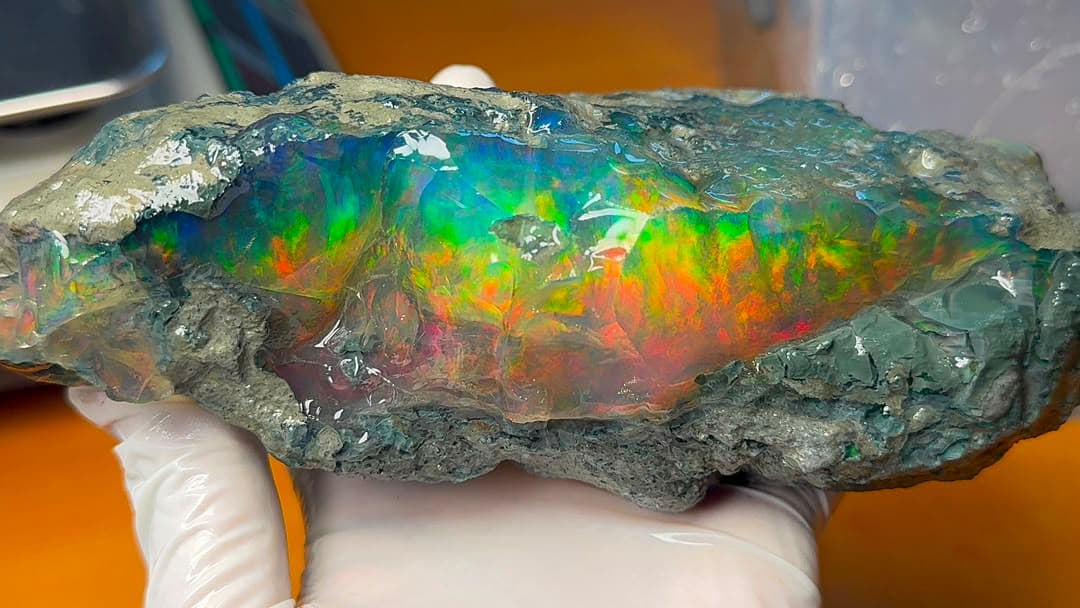 Ethiopian Wollo Black Opal